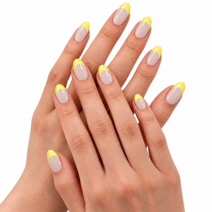 Lemon Sorbet